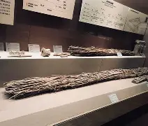 开云在线平台-佥沯_r奁W]6嗕鰟q?鏳殹叜?J暯{